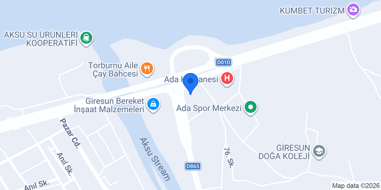 Şampiyon Halı Yıkama konumu