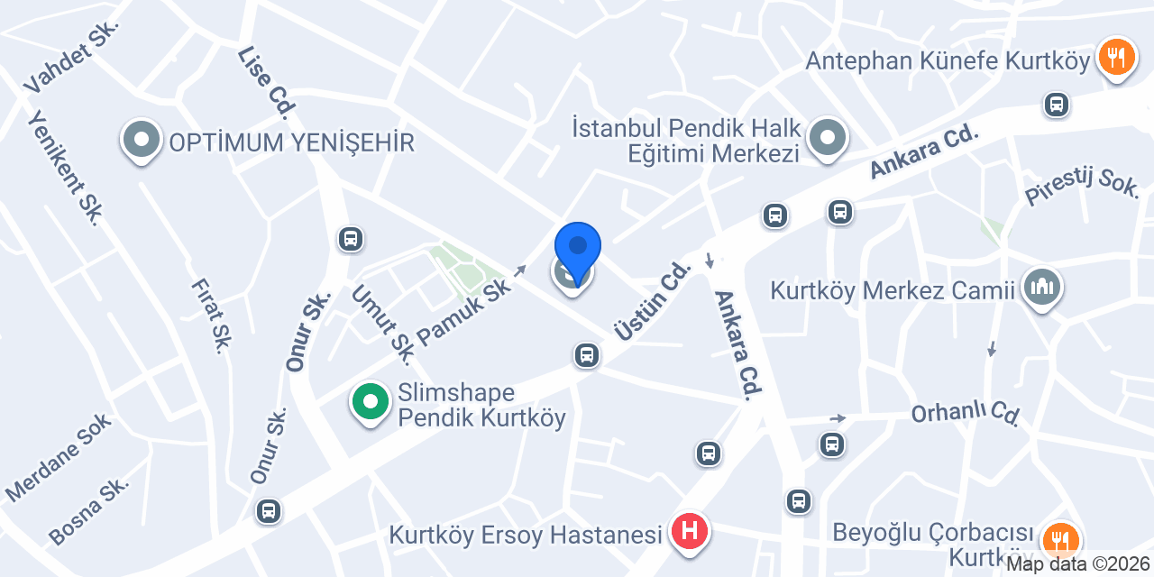 Kurtköy Anadolu Lisesi konumu