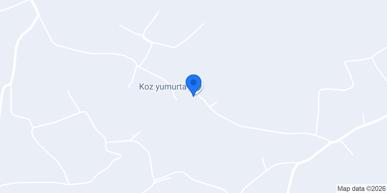 Koz yumurta konumu