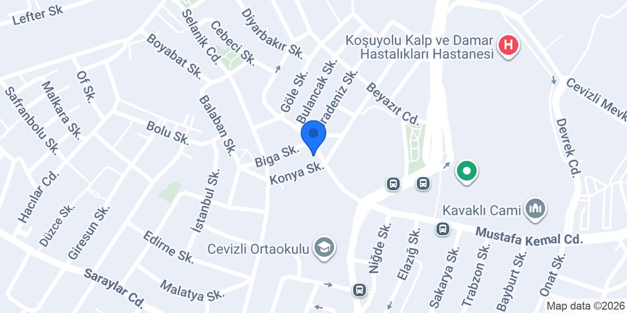 Kartal Evde Fizyoterapi konumu