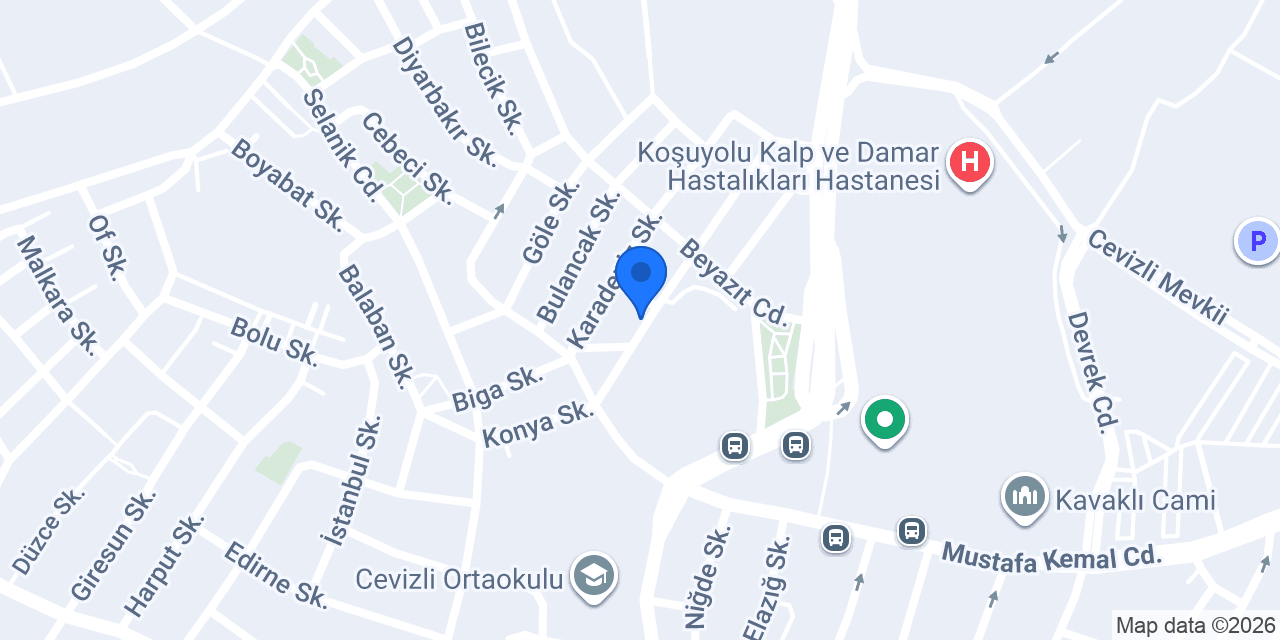 Kayısı Kent konumu