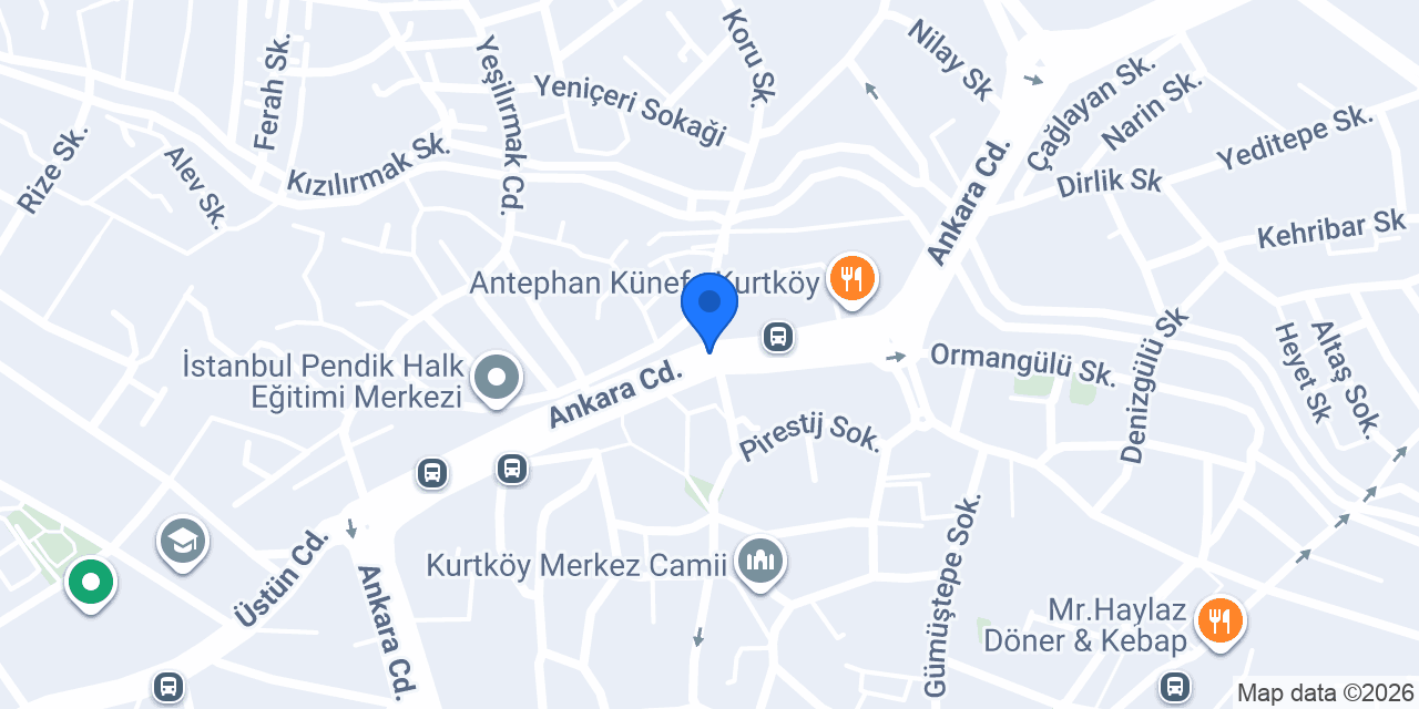 METE ELEKTROMEKANİK konumu