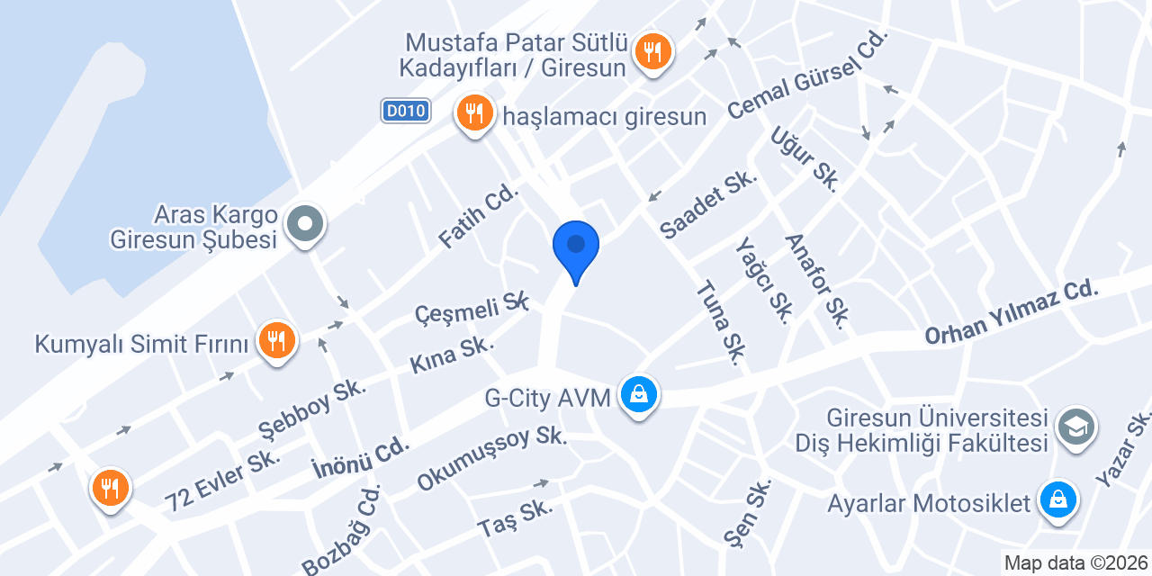 Türk Mali Müşavirlik konumu