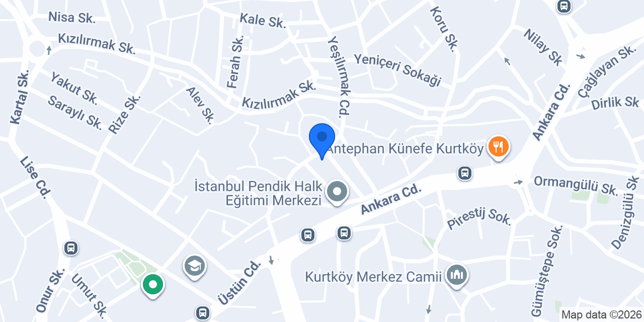 larin petshop KURTKÖY konumu
