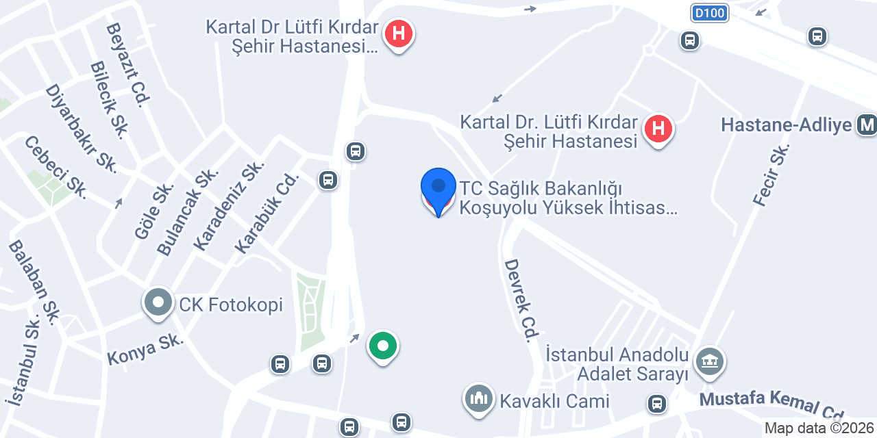 Prof. Dr. Atilla Bitigen konumu