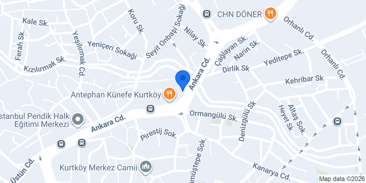 Elitt Kuru Temizleme konumu