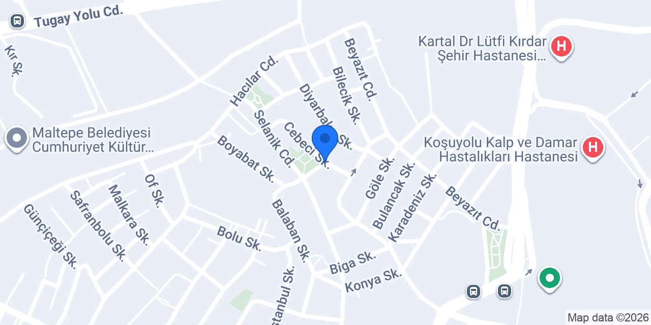 NETWORK TREND WORLD konumu