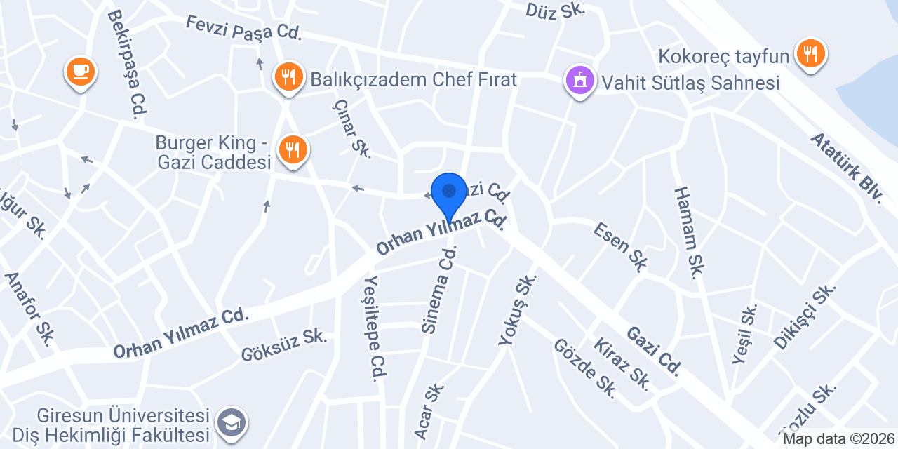 Vizyon Giresun OSGB konumu