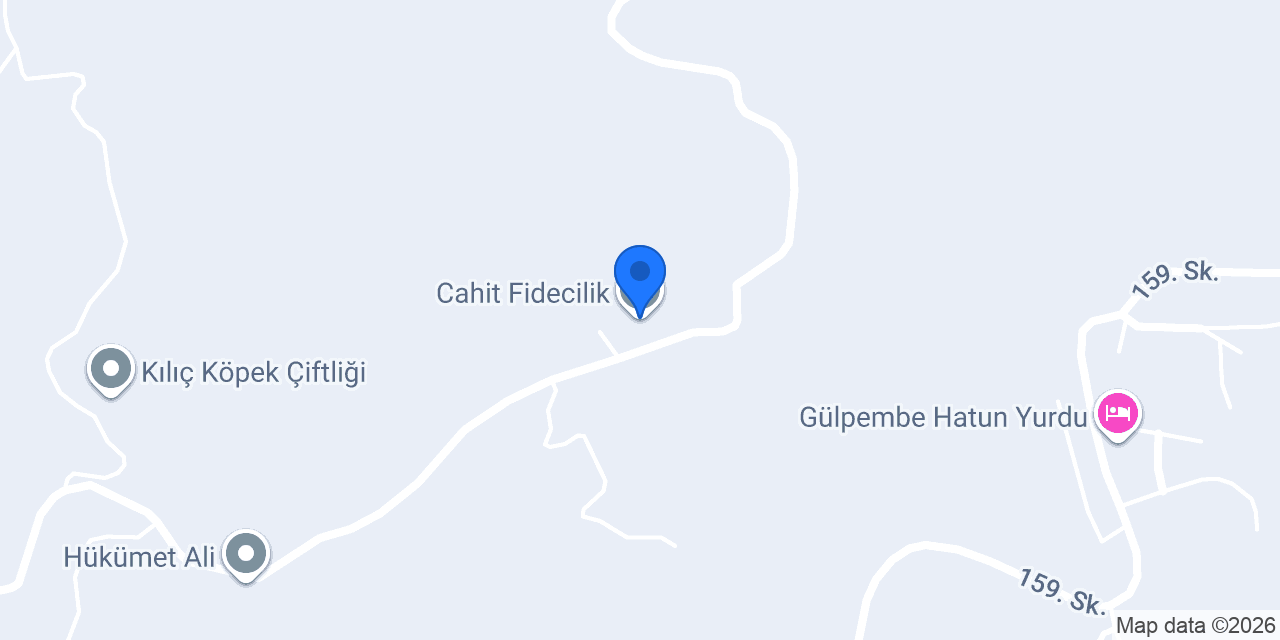 Cahit Fidecilik konumu