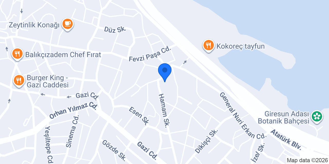 Uzman Elektrik Elektronik konumu