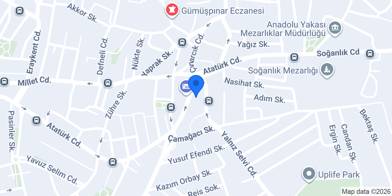 MSN TURİZM konumu