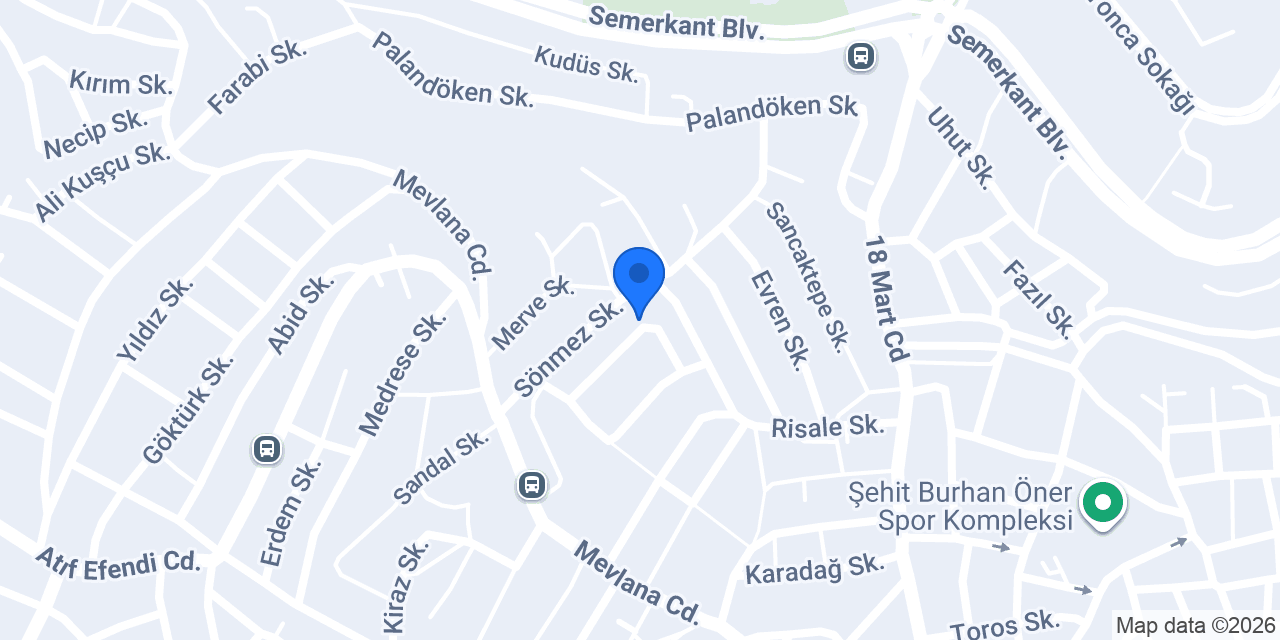 Aslan dekorasyon konumu