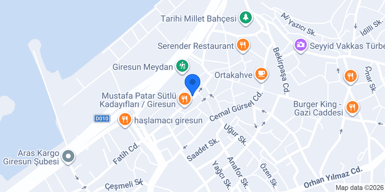 Dilaver Erdoğan konumu