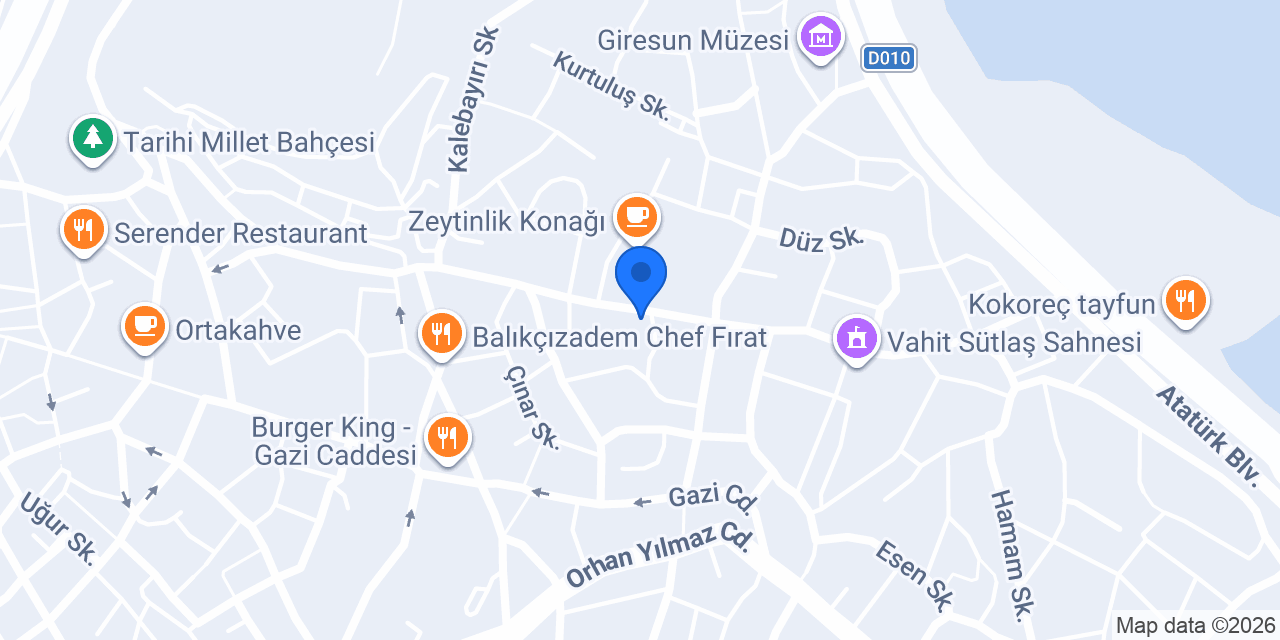Fırtına elektrik konumu