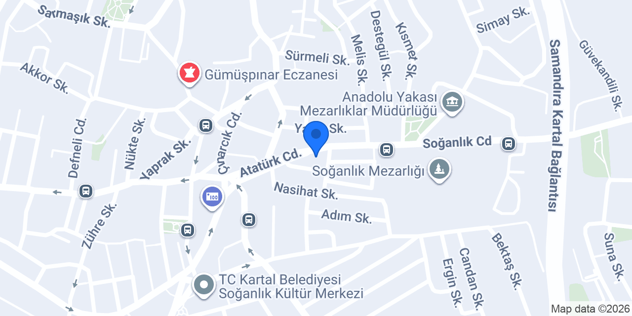Asil Elektrik konumu