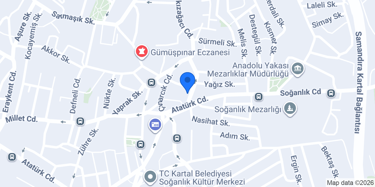Özkaradeniz Elektrik konumu