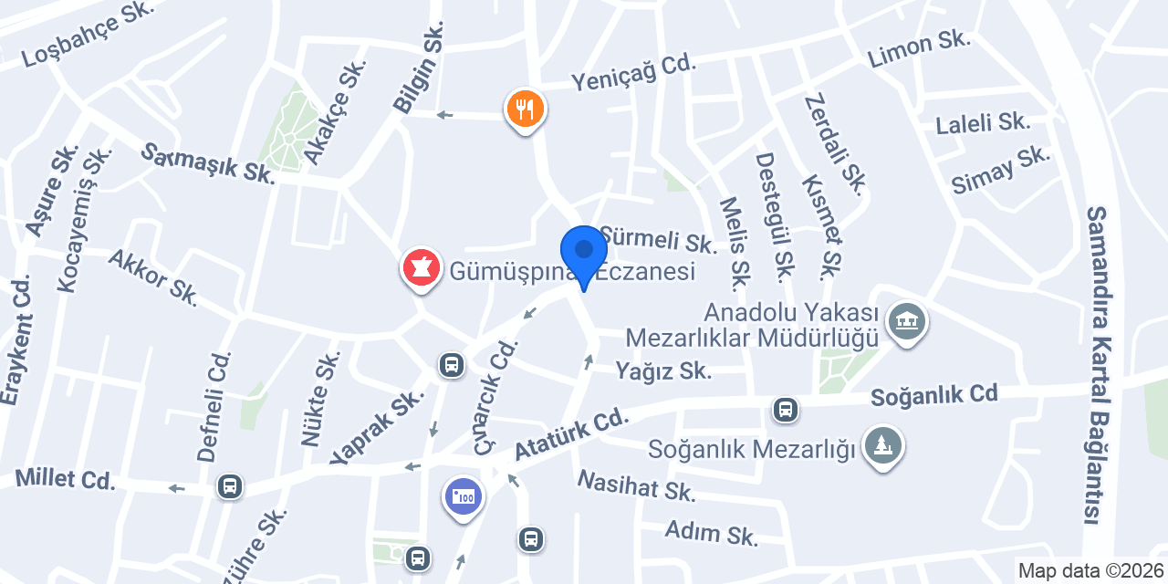 ALYA DONDURMA SOĞANLIK konumu