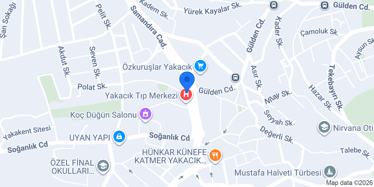 Aslan Elektrik konumu