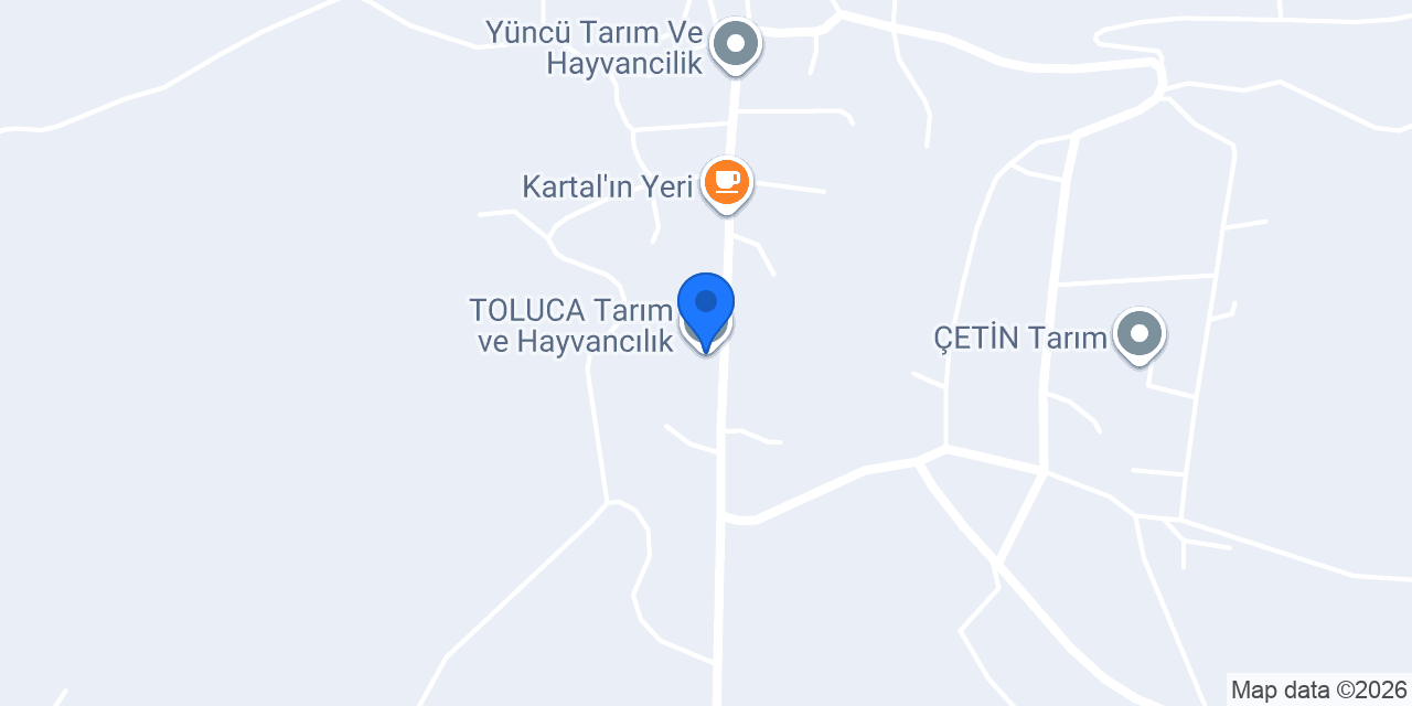 TOLUCA Tarım ve Hayvancılık konumu