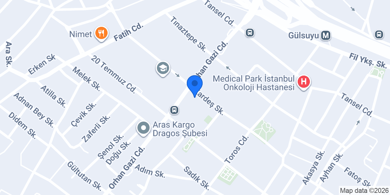 Turkish Academy konumu