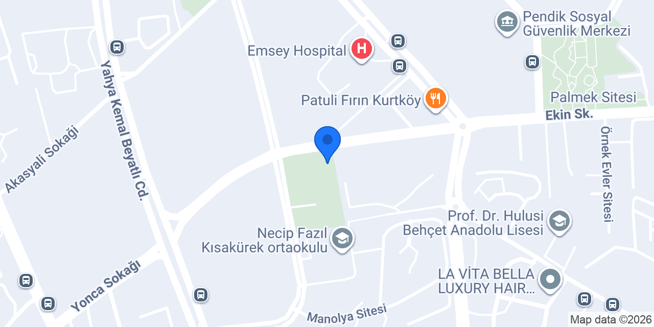 Mustafa Kutlu İlkokulu konumu