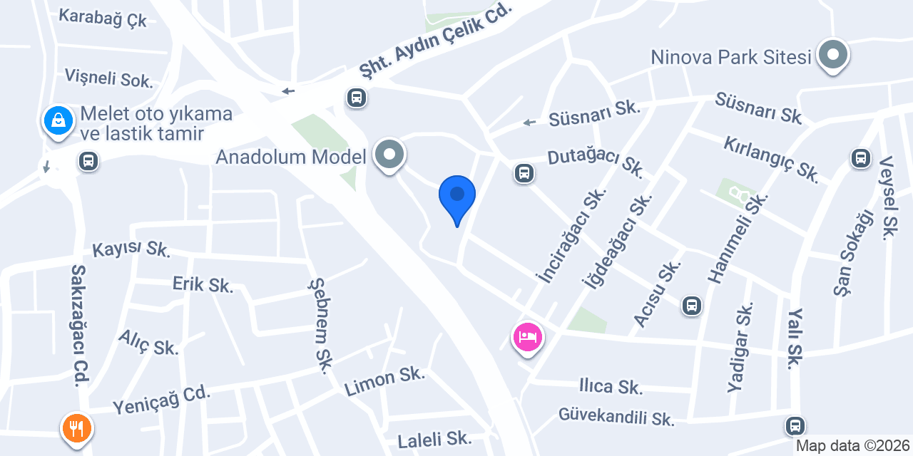 Aras Gıda konumu
