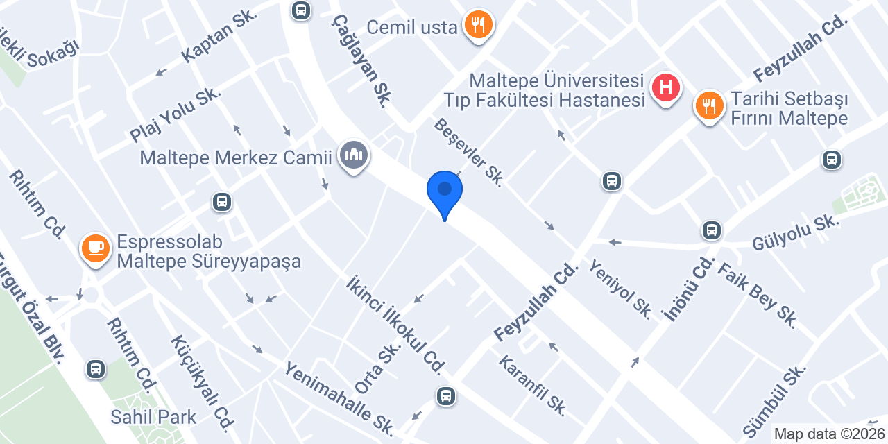 Maltepe Elçi Sürücü Kursu konumu
