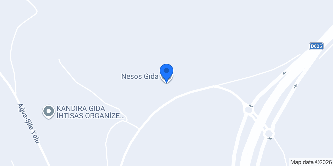 Nesos Gıda konumu