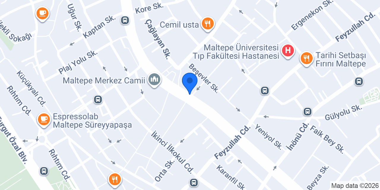 Lizay - Maltepe konumu