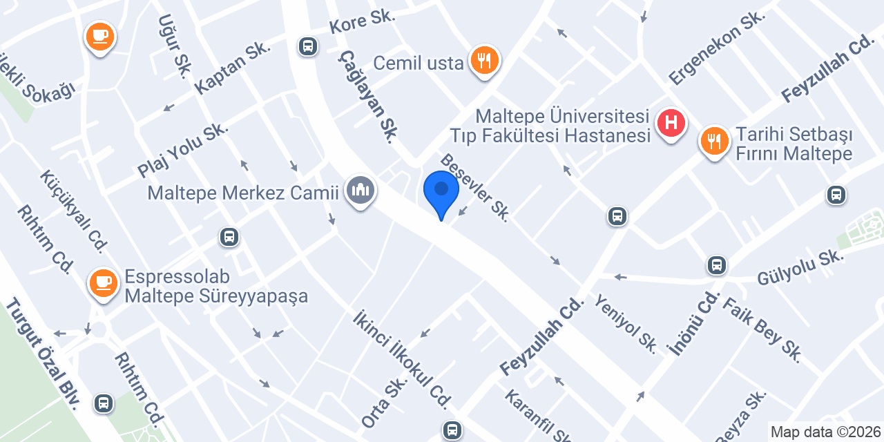 Panda Tercüme Bürosu - Maltepe konumu