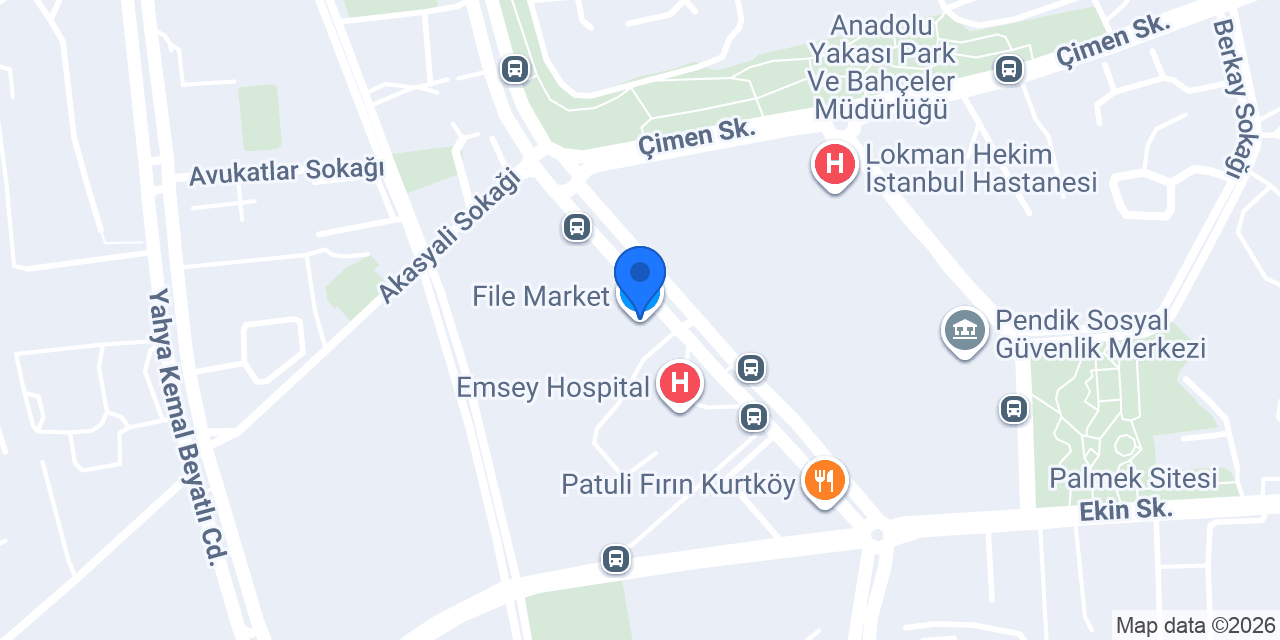 FDM Akademi Türkiye konumu