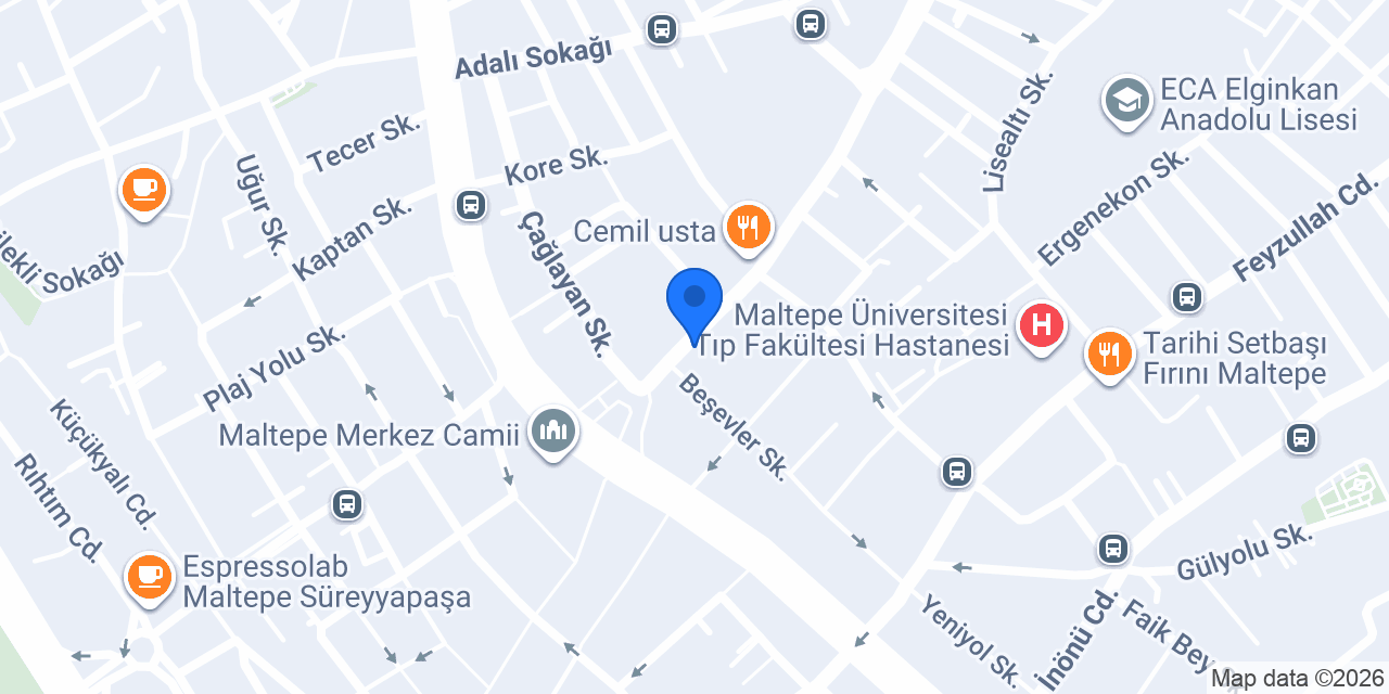 Maltepe Bora Sürücü Kursu konumu