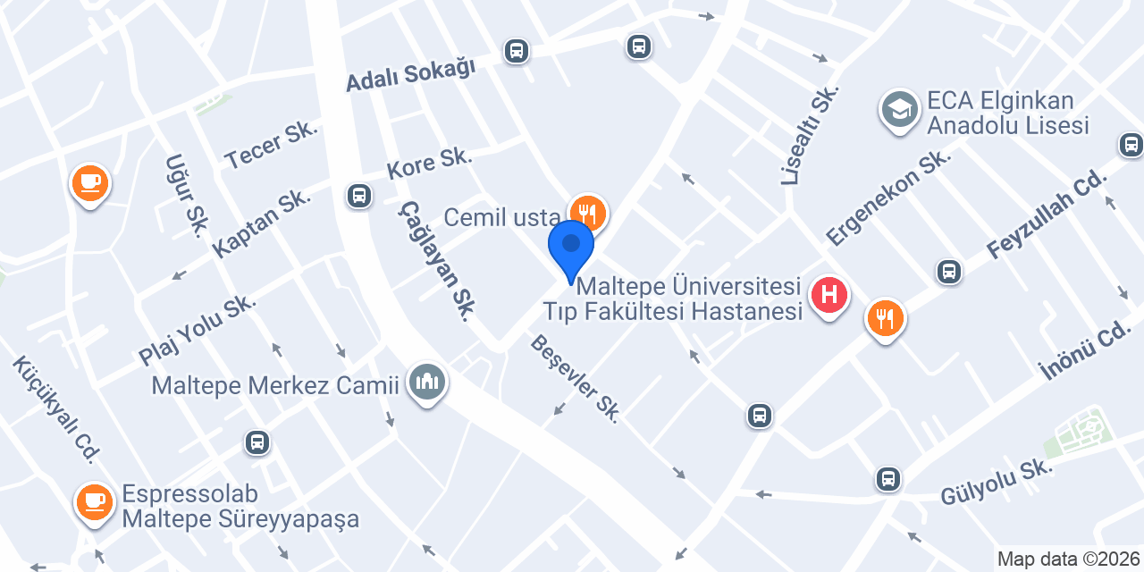Maltepe Emlak İnsaat konumu