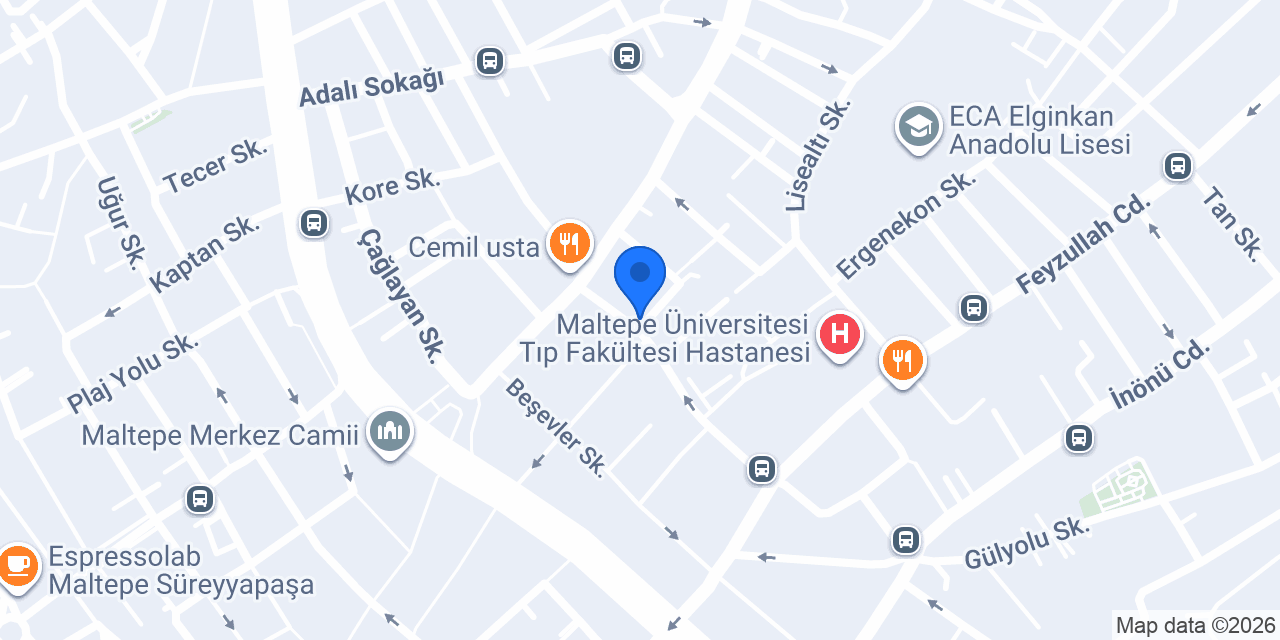 MALTEPE ELEKTRİK konumu