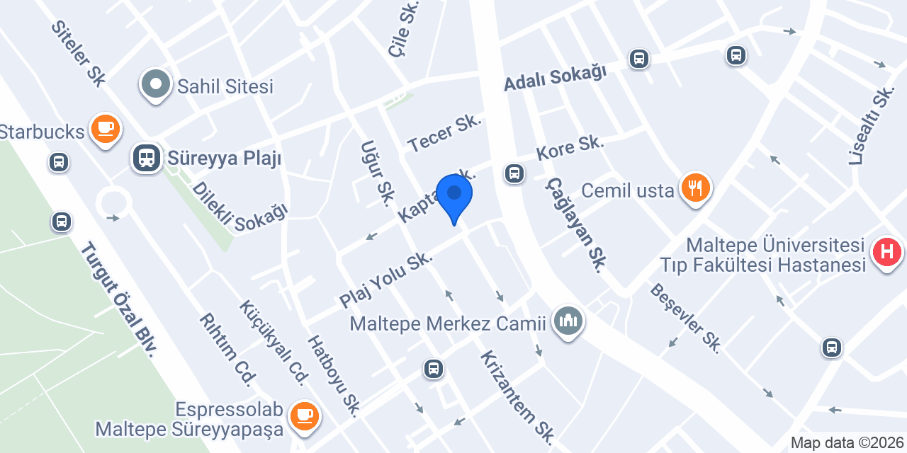 NGLS YABANCI DİL DÜNYASI MALTEPE konumu