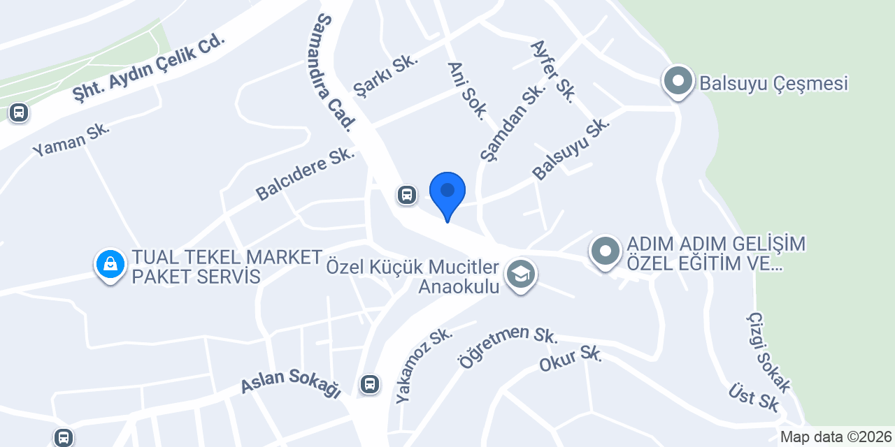PROFESSIONAL ÖZEL SERVİS konumu