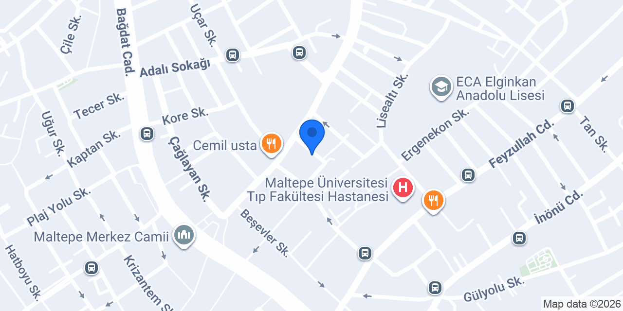 Fabrika Kutu konumu