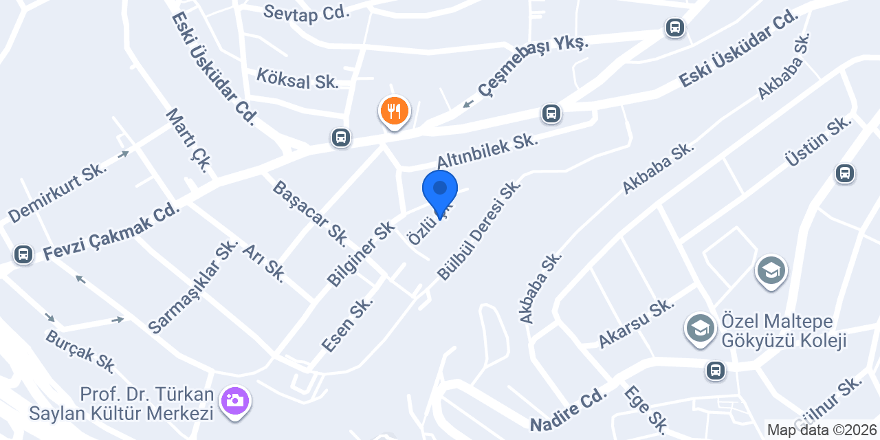 Aps Elektrik konumu