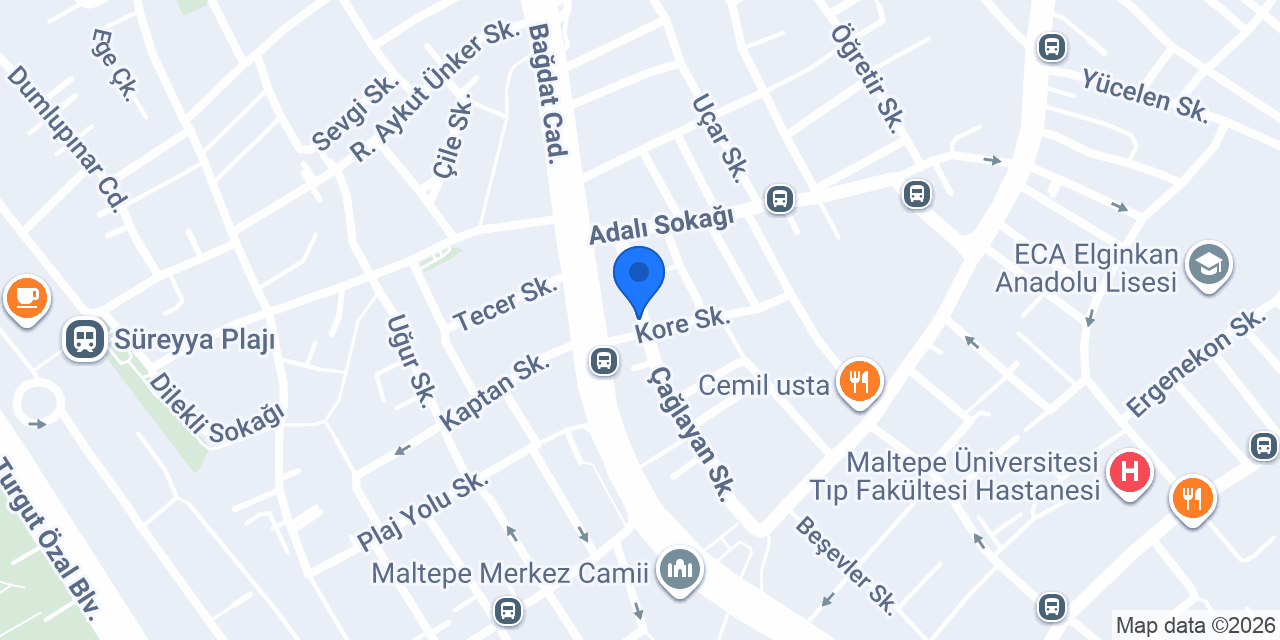 Kaktüs Dijital konumu