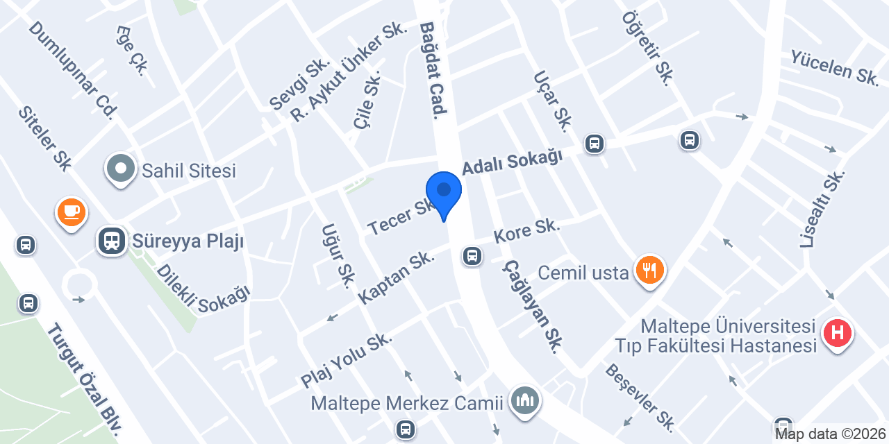 Domino's Pizza Maltepe konumu