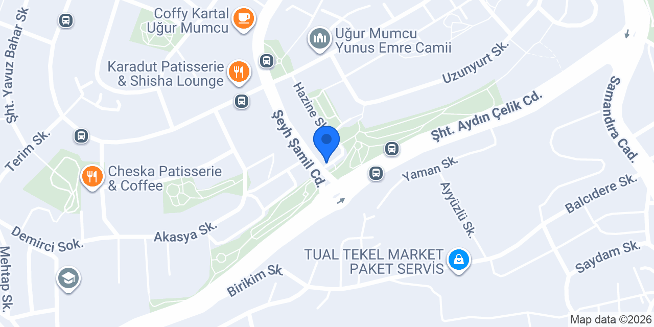 KARTALDA BOYACI USTASI konumu