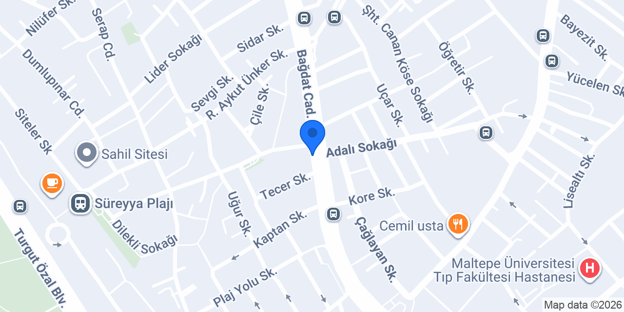 PetVet konumu