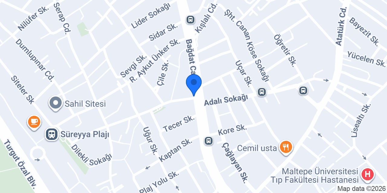 İSTANBUL PET SHOP konumu