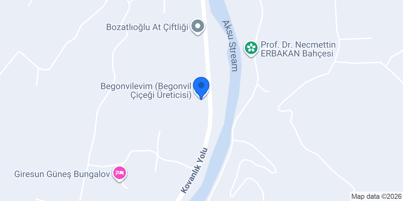 Begonvilevim (Begonvil Çiçeği Üreticisi) konumu