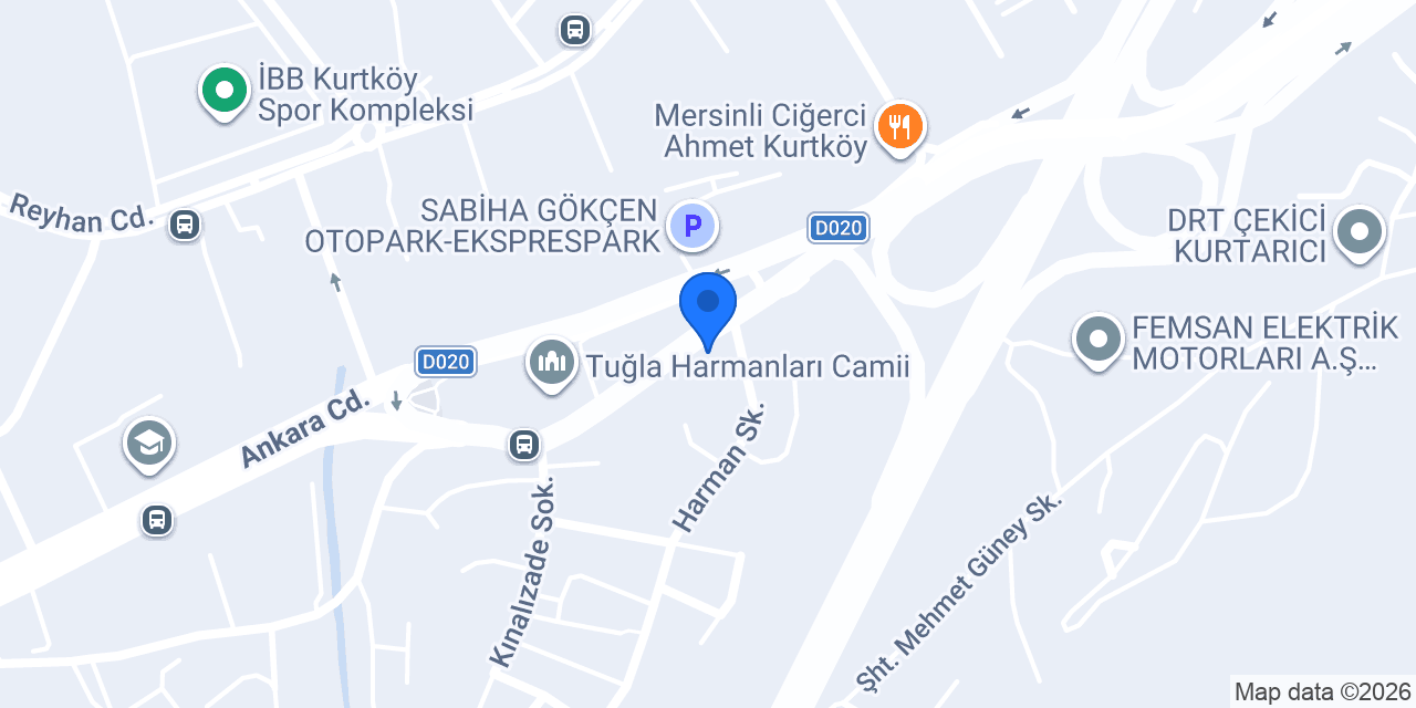EXPRESS ÇİÇEK KURTKÖY konumu
