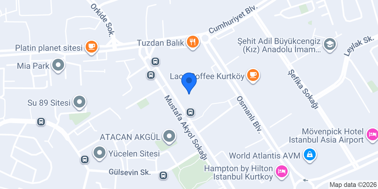 ALTIN KAĞIT konumu