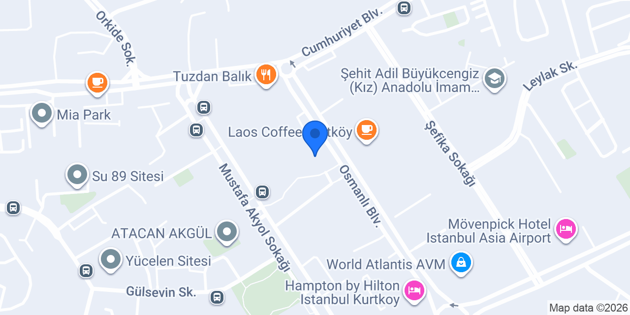 Domino's Pizza Kurtköy konumu