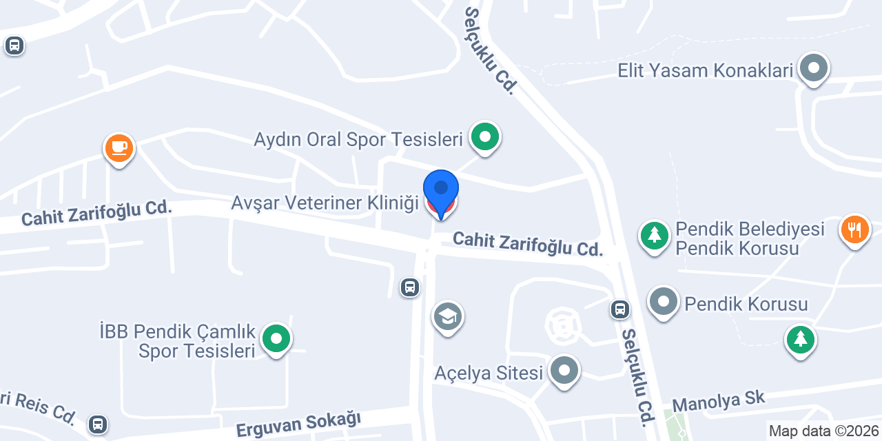 Avşar Veteriner Kliniği konumu