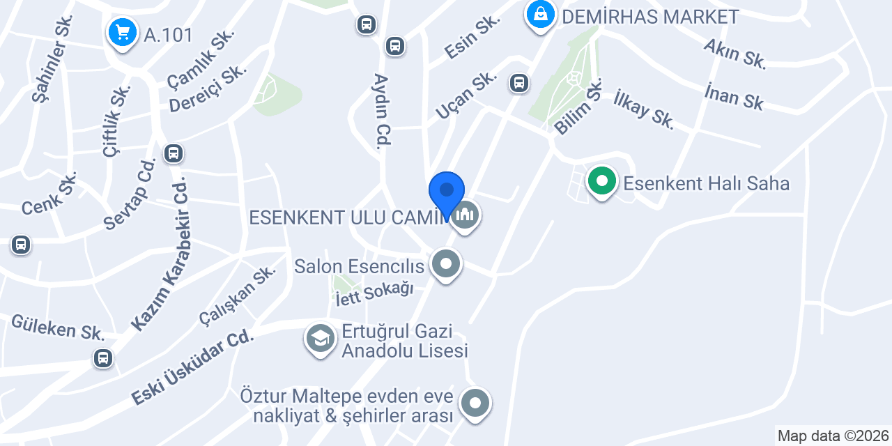 Ekin Kasap konumu
