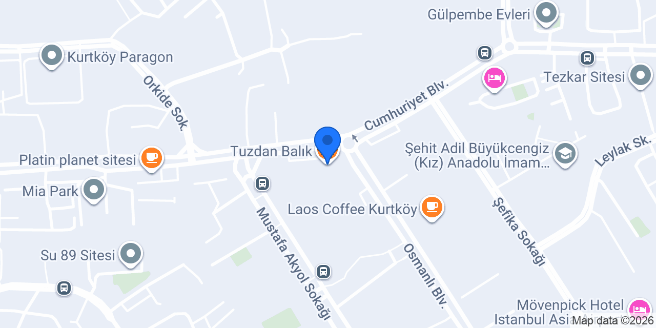 Tuzdan Balık konumu